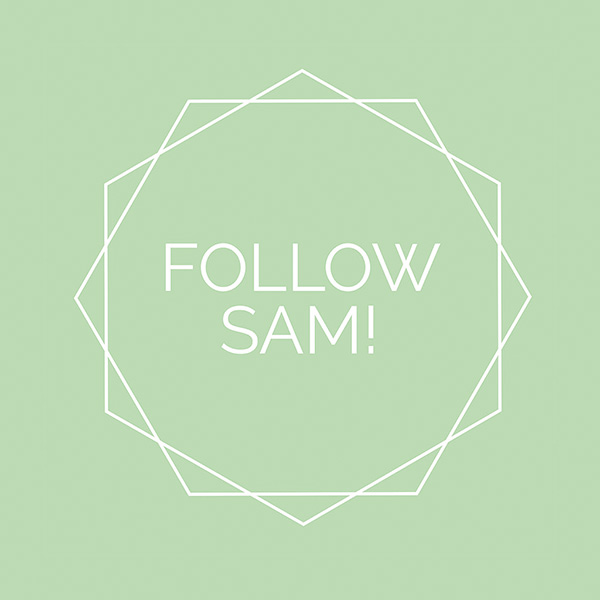 follow-sam-logo
